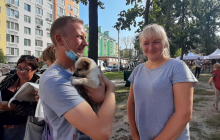 На Киевщине 24 бездомных котят и щенков нашли себе дом (фото)