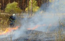 Ураган розносить вогонь: лісові пожежі на Луганщині загрожують 32 населеним пунктам