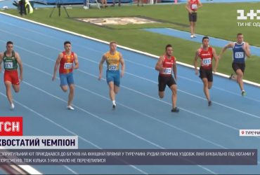 Хвостатий чемпіон: у Туреччині безпритульний кіт приєднався до забігу юнаків