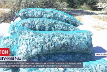 На Кінбурнській косі створили унікальний штучний риф з мушель