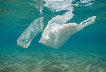 Ученые придумали бактерии, поедающие пластик, но некоторым это не нравится