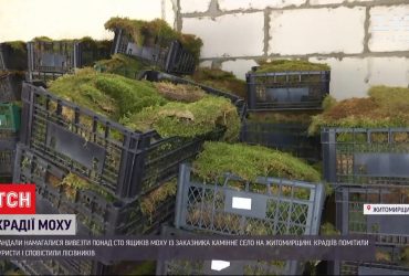 У Житомирській області вандали намагалися вивезти понад 100 ящиків моху з "українського Стоунхенджу"