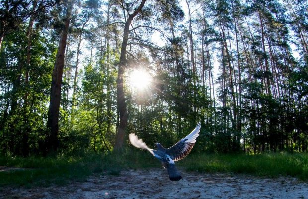 5 червня 2021 - яке сьогодні свято, чим день увійшов в історію, прикмети та заборони