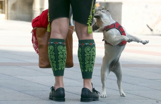 Мюнхен без Октоберфеста: как немцы переживают отмену главного пивного события в мире (фоторепортаж)