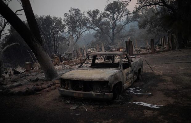 Найбільша пожежа в історії Каліфорнії спустошила відомий виноробний регіон (фоторепортаж)