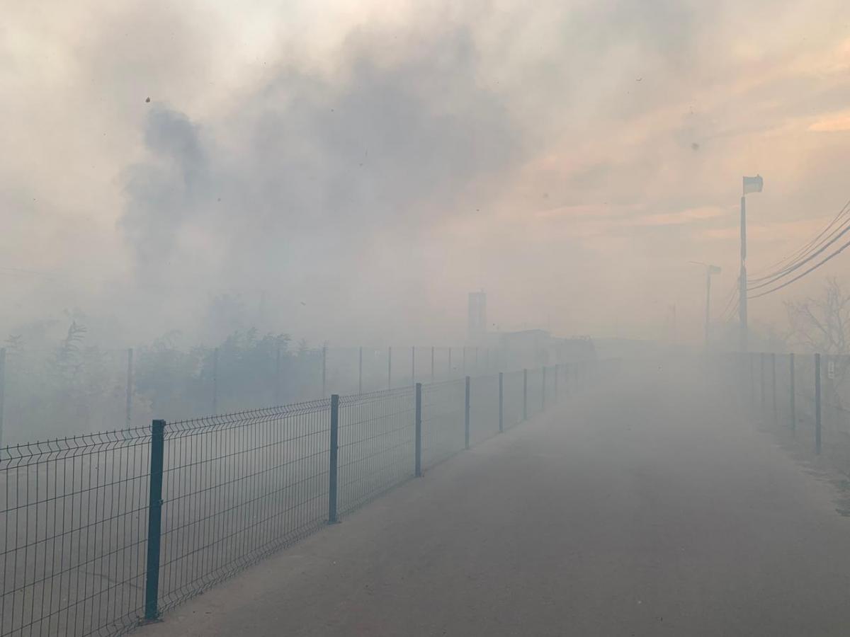Лісові пожежі добралися до КПВВ 'Станиця Луганська': його роботу припинено (відео) Лісові пожежі добралися до КПВВ 'Станиця Луганська': його роботу припинено (відео)