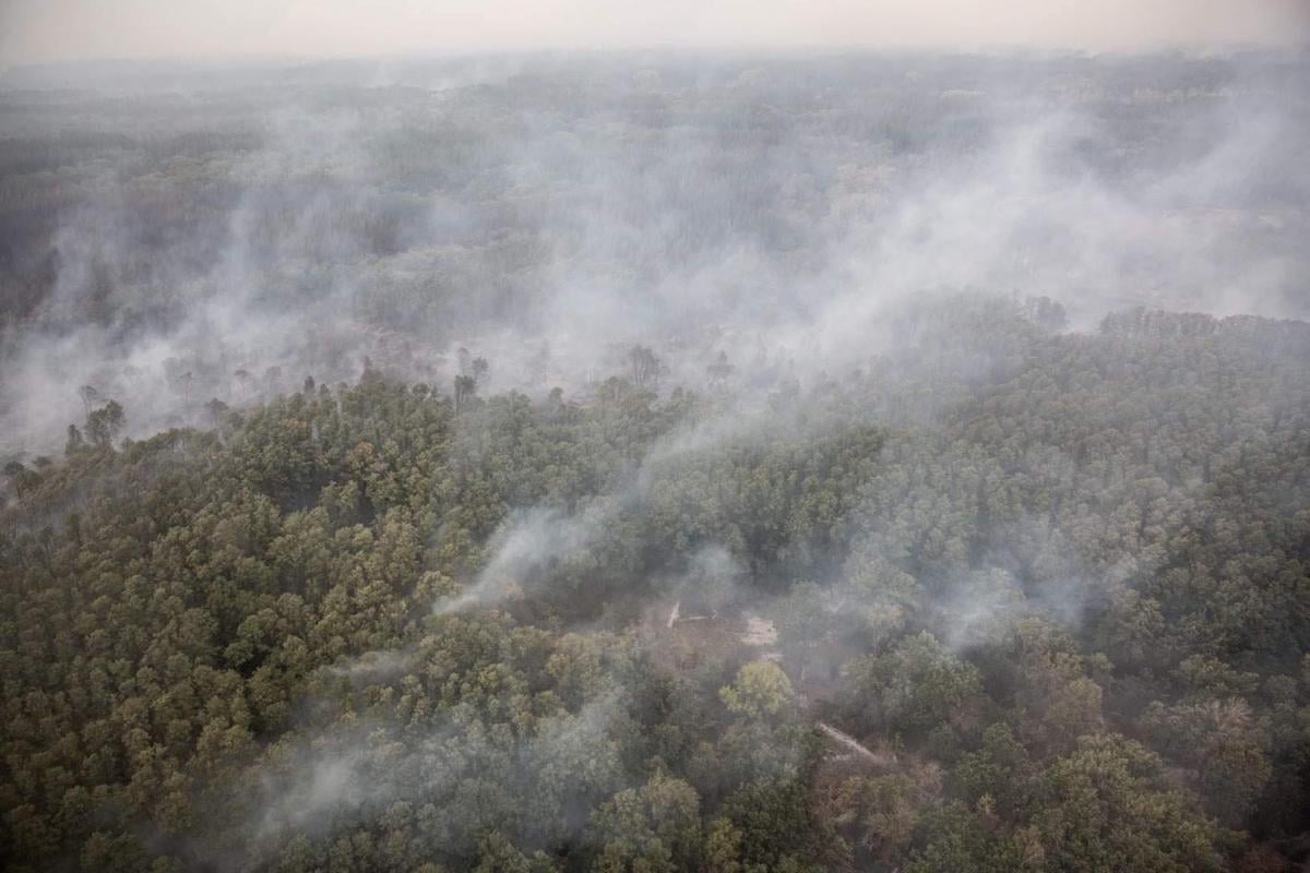 В Україні можливі лісові пожежі / фото ДСНС В Україні можливі лісові пожежі / фото ДСНС