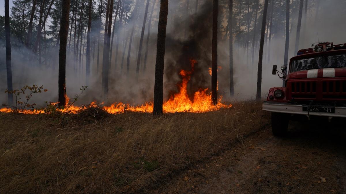 Пожежі на Луганщині - безвісти зниклими вважаються чотири людини / dsns.gov.ua Пожежі на Луганщині - безвісти зниклими вважаються чотири людини / dsns.gov.ua