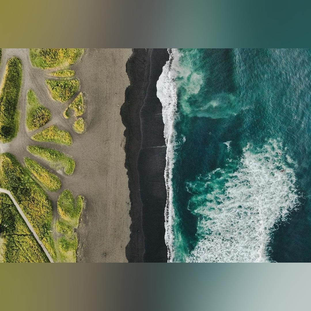 Afisha.Kamchatki/Instagram Afisha.Kamchatki/Instagram