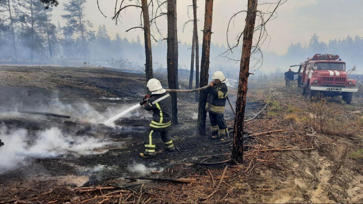 На Луганщині рятувальники повністю ліквідували один осередок лісових пожеж / фото dsns.gov.ua На Луганщині рятувальники повністю ліквідували один осередок лісових пожеж / фото dsns.gov.ua