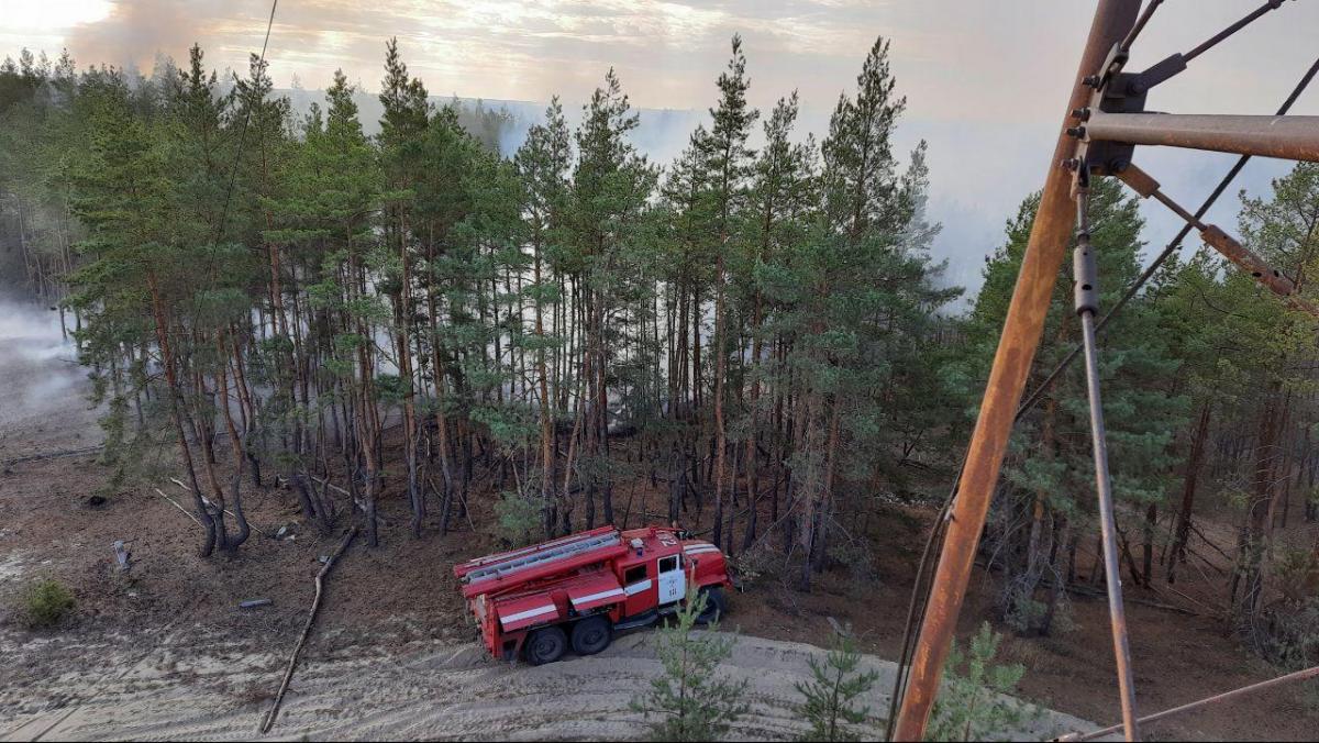 На Луганщині вирують лісові пожежі / фото ДСНС