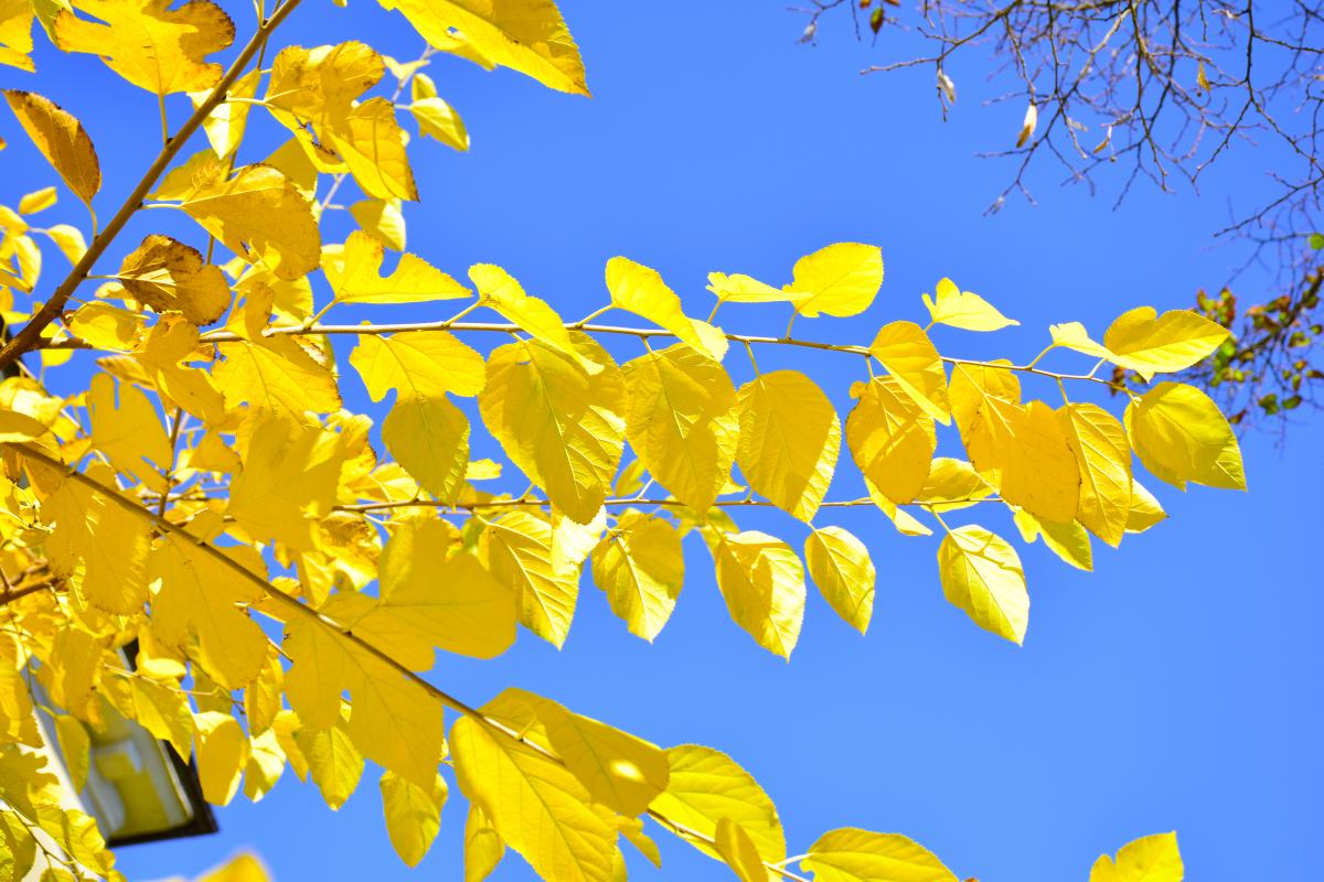 2 Фото ua.depositphotos.com 2 Фото ua.depositphotos.com