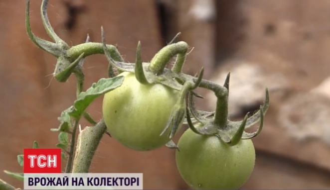 Ремонт обещают завершить / скриншот видео Ремонт обещают завершить / скриншот видео
