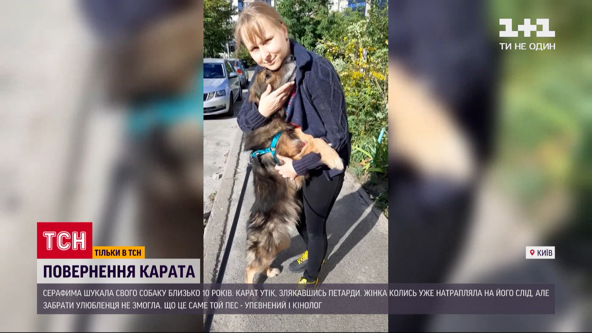 Собака повернувся до родини після 11 років зникнення Собака повернувся до родини після 11 років зникнення