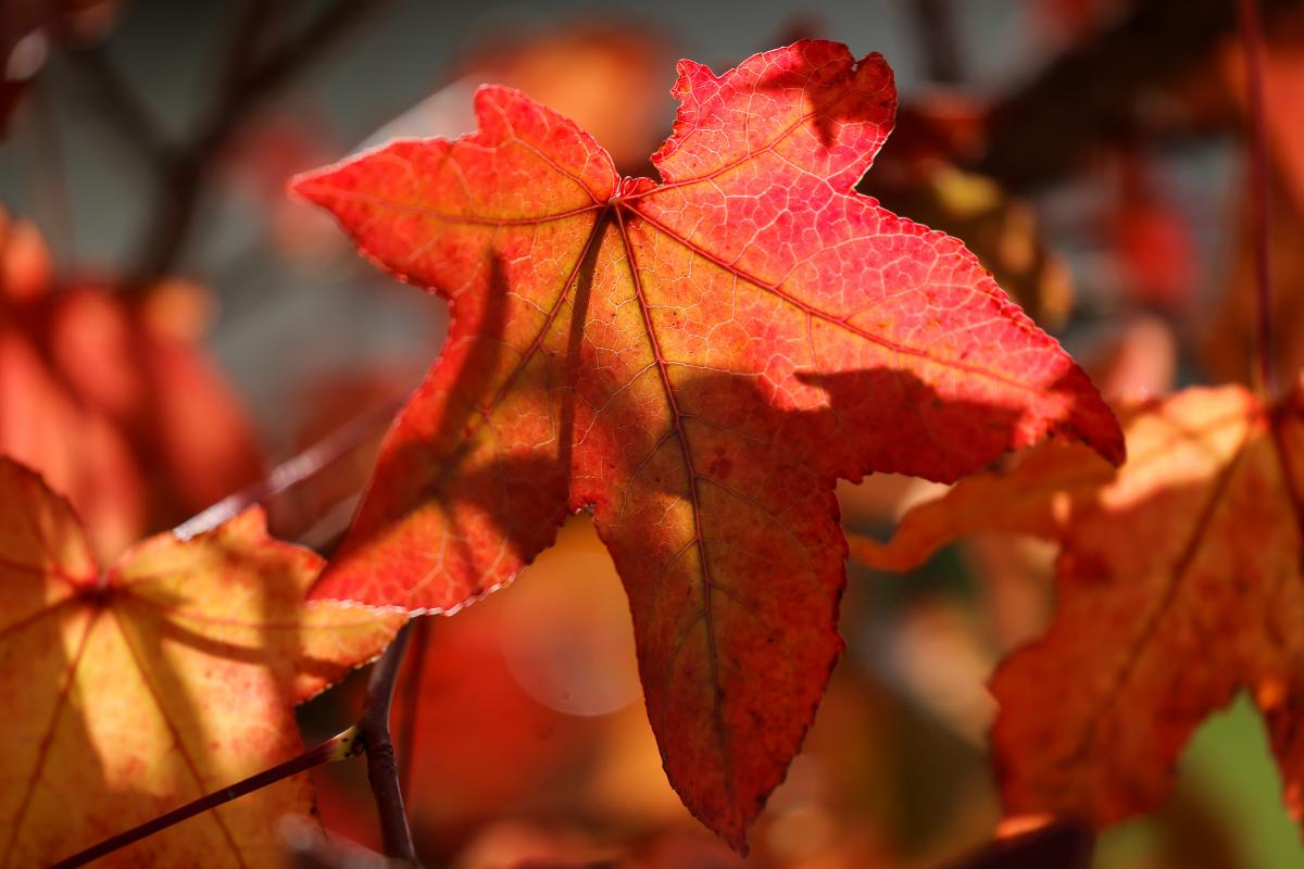 Яке свято 17 Жовтня / Фото REUTERS Яке свято 17 Жовтня / Фото REUTERS