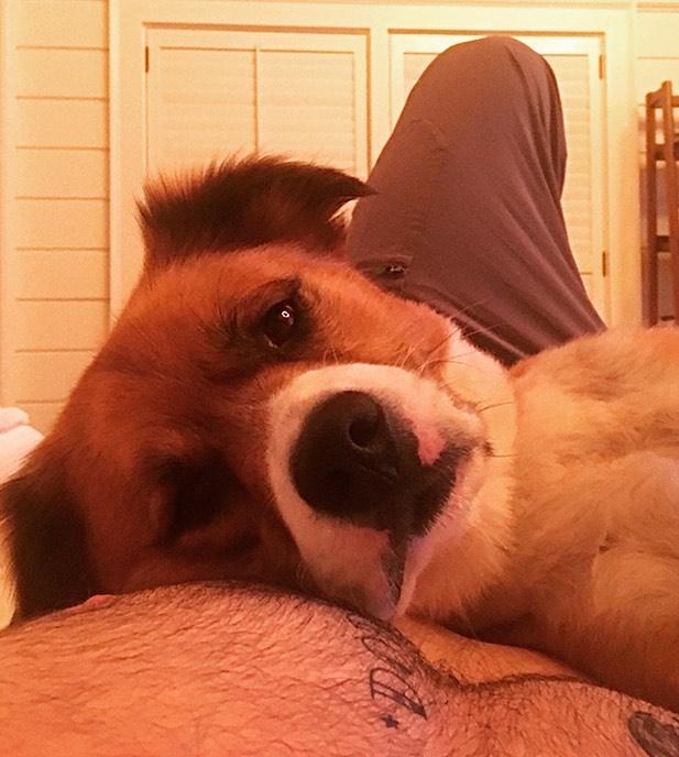Актор опублікував фото / instagram.com/chrisevans Актор опублікував фото / instagram.com/chrisevans