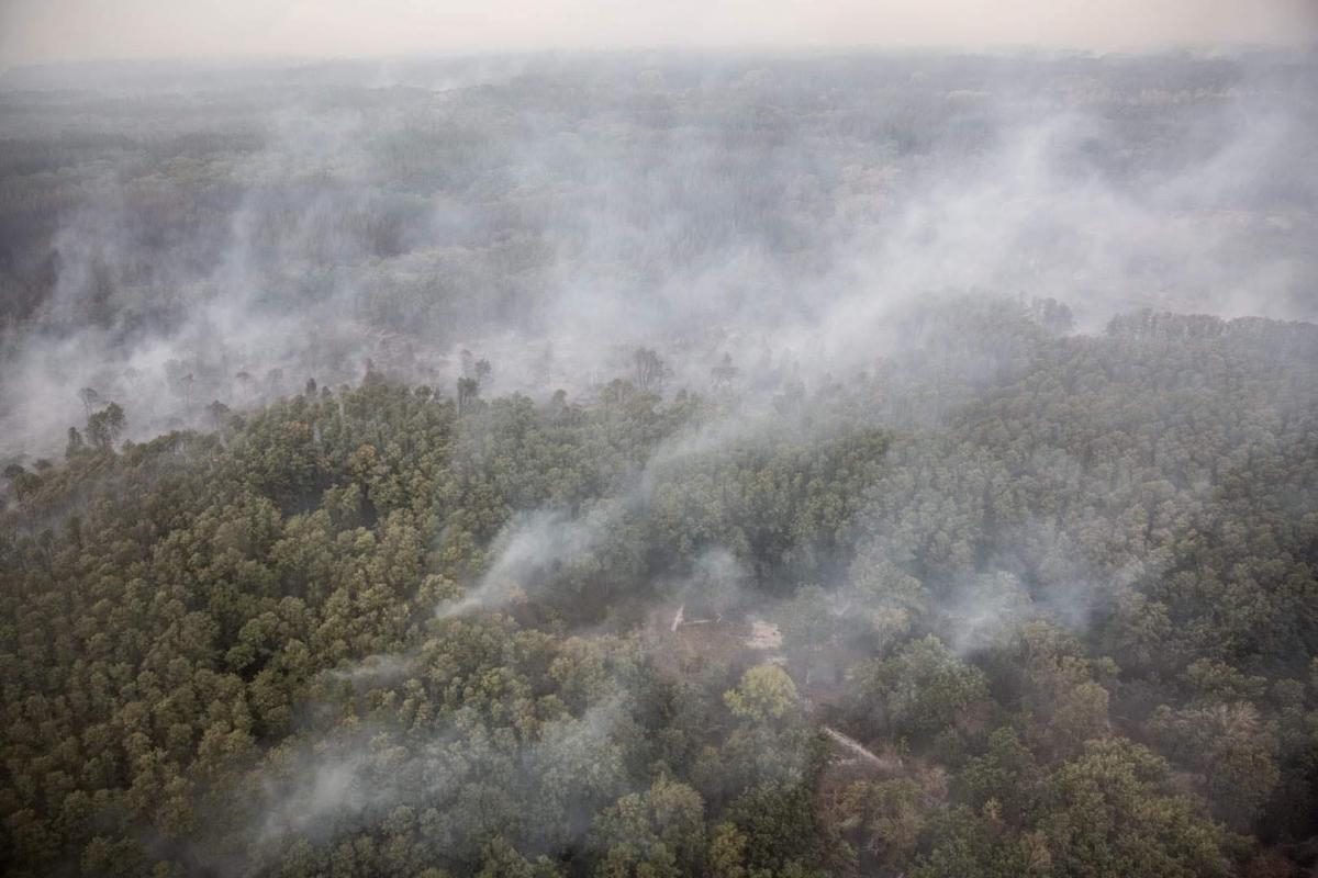 Pictures Large-scale fire in Luhansk region 02 October 2020