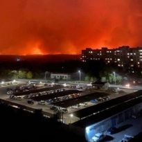 Violations of truce by enemy provoke wildfires in Donbas – Ukraine officials (Video)