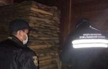 Стали известны подробности о матери, подозреваемой в расстреле дочерей во Львовской области (видео)