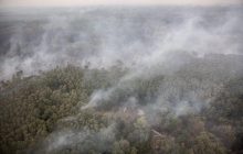 Боевики обстреляли украинских военных возле горящей Станицы Луганской