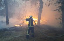 У Києві горіла Лиса гора: рятувальники розповіли подробиці вогняного інциденту (фото)