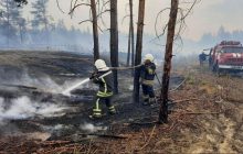 В Луганской области полностью ликвидирован один и локализованы четыре очага лесных пожаров