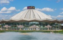 В Москве медведь раскромсал голову работника цирка