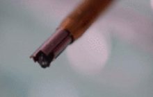 Вчені розробили інструмент для хірургії, надихнувшись осами-їздцями (відео)
