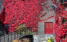 Багровая пора: фотограф показал классическую шотландскую осень (фоторепортаж)