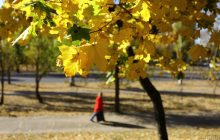 Начинается похолодание: сегодня температура в Киеве упадет до +13°