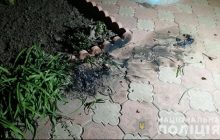 На Одещині у двір будинку кандидата на посаду голови ОТГ кинули "коктейлі Молотова" (фото)