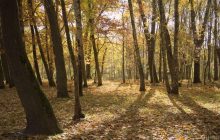29 сентября: что нельзя делать, народные обычаи и традиции