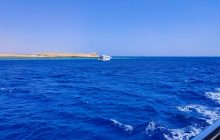 Ukrainian mother and son attacked by shark in Egypt's Sharm-el-Sheikh