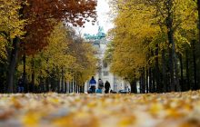 Такої осені ще не було: порожні вулиці Берліну (фоторепортаж)