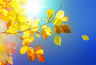 Перед вихідними погода порадує українців теплом і великою кількістю сонця (карта)