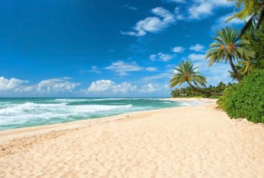 Украина обновила карантинный список стран: Мексика, Доминиканская Республика и еще 72 страны теперь красные