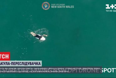 В Австралії 2-метрова акула впритул наблизилась до серфера