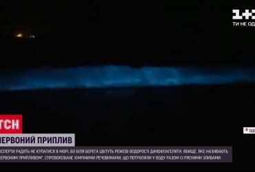 Одесити влаштували фотополювання на рожеві водорості