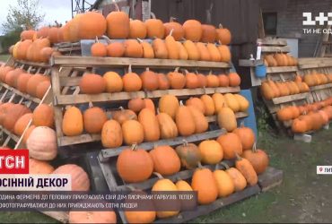 У Литві родина фермерів прикрасила дім тисячами гарбузів