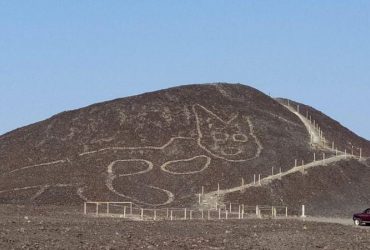На плато Наска нашли гигантское изображение кошки возрастом две тысячи лет (фото)