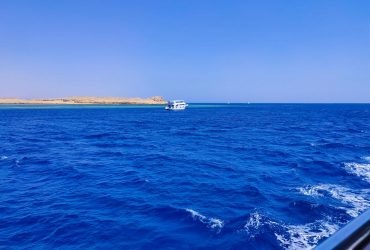 В Египте акула напала на 12-летнего украинца: мальчик серьезно пострадал