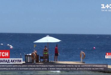 У Шарм-ель-Шейху акула атакувала українських туристів