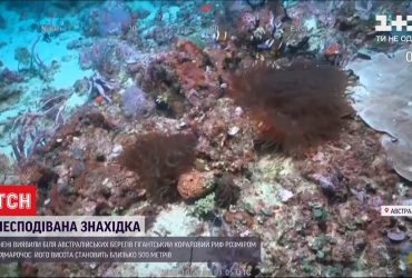 В Австралії знайшли кораловий риф, розміром з хмарочос