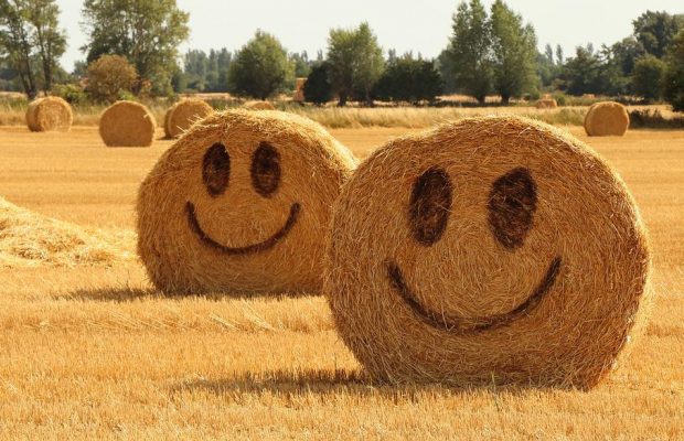 8 жовтня 2020 - яке сьогодні свято, прикмети та іменинники, що сьогодні не можна робити