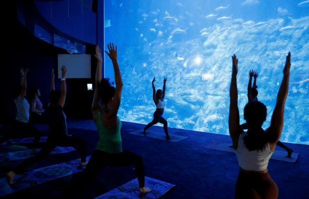 В Гонконге предлагают заняться необычной йогой вместе с рыбами (фоторепортаж)
