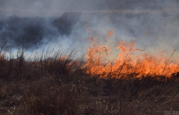 Народные обычаи и приметы 13 февраля - сегодня отмечается день Никиты Новгородского