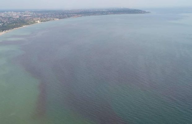 Море в Одесі стало багряно-червоним: біологи б'ють на сполох і попереджають про токсини (відео)