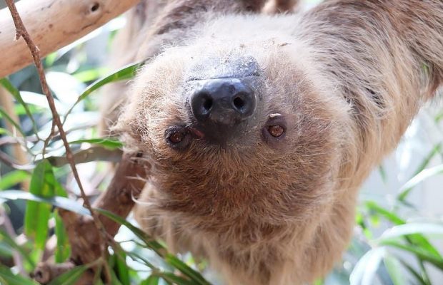 20 жовтня 2020 - яке сьогодні свято, прикмети та іменинники, що сьогодні не можна робити