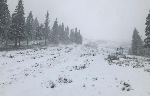 Заметіль на Драгобраті: за ніч випало 7 сантиметрів снігу (фоторепортаж, відео)