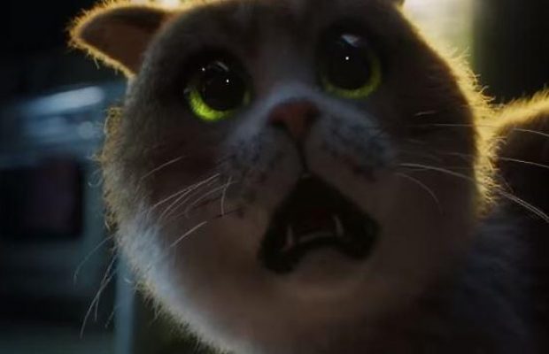 Выпустили первый фильм ужасов для котов: главный антигерой - огурец (видео)